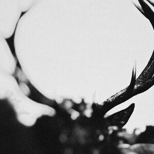 IHSAHN (Orchestral Version) Clear w/ Black Smoke Marble